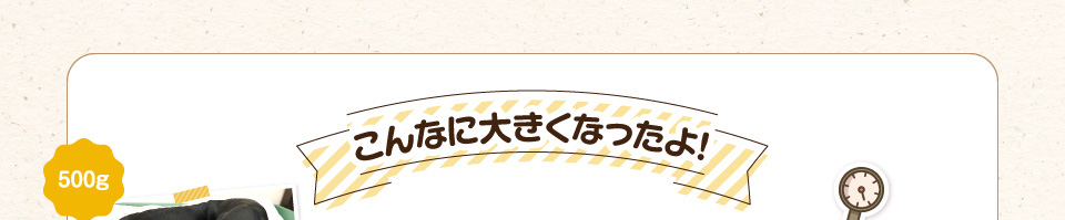 こんなに大きくなったよ!