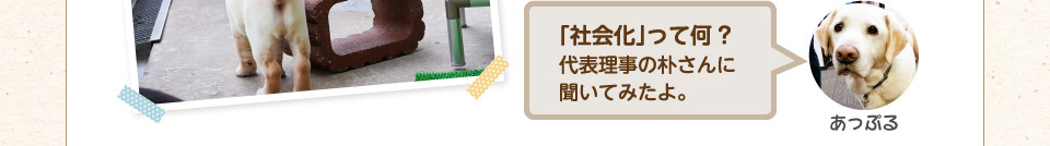 「社会科」って何?代表理事の朴さんに聞いてみたよ。