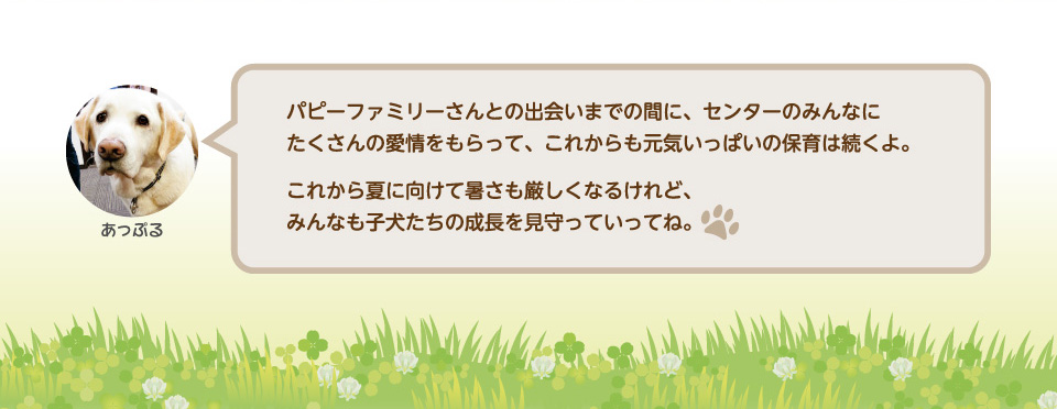 パピーファミリーさんとの出会いまでの間にセンターのみんなにたくさんの愛情をもらって、これからも元気いっぱいの保育は続くよ。これから夏に向けて暑さも厳しくなるけれど、みんなも子犬たちの成長を見守っていってね。