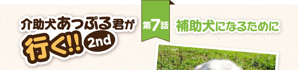 【介助犬あっぷる君が行く！2nd】第7話 補助犬になるために