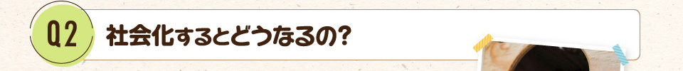 Q2.社会化するとどうなるの?