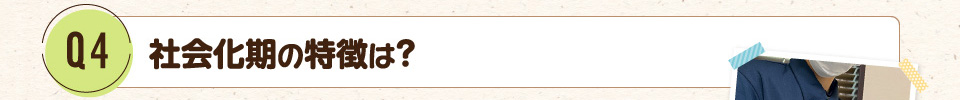 Q4.社会化期の特徴は?