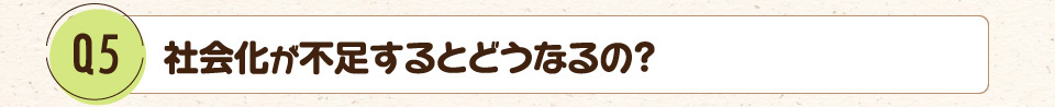 Q5.社会化が不足するとどうなるの?