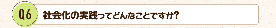 Q6.社会化の実践ってどんなことですか?