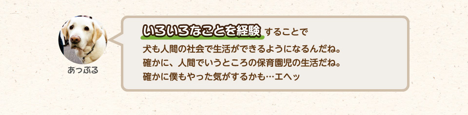 いろいろなことを経験することで犬も人間の社会で生活ができるようになるんだね。確かに、人間でいうところの保育園児の生活だね。確かに僕もやった気がするかも…エヘッ