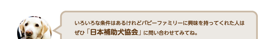 いろいろな条件はあるけれどパピーファミリーに興味を持ってくれた人はぜひ「日本補助犬協会」に問い合わせてみてね。