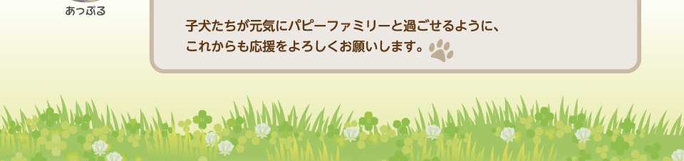子犬たちが元気にパピーファミリーのところへ行けるよう、これからも応援をよろしくお願いします。