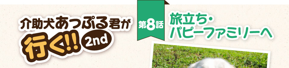 【介助犬あっぷる君が行く！2nd】第8話 旅立ち・パピーファミリーへ