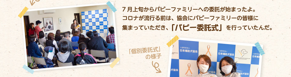 7月上旬からパピーファミリーへの委託が始まったよ。コロナが流行る前は、協会にパピーファミリーの皆様に集まっていただき、「パピー委託式」を行っていたんだ。