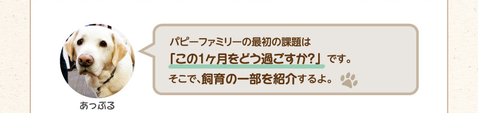 パピーファミリーの最初の課題は「この1ヶ月をどう過ごすか?」です。そこで、飼育の一部を紹介するよ。