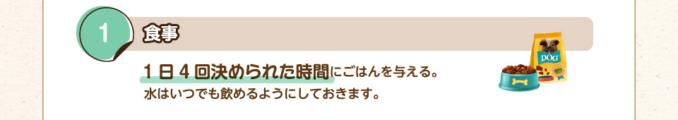 1.食事：1日4回決められた時間にごはんを与える。水はいつでも飲めるようにしておきます。
