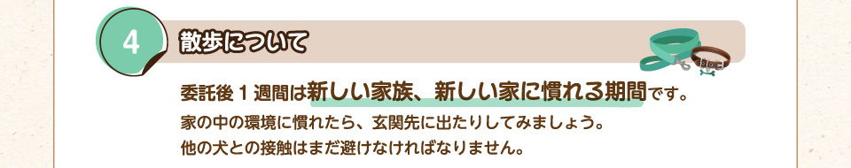 4.散歩について：委託後1週間は新しい家族、新しい家に慣れる期間です。家の中の環境に慣れたら、玄関先に出たりしてみましょう。他の犬との接触はまだ避けなければなりません。