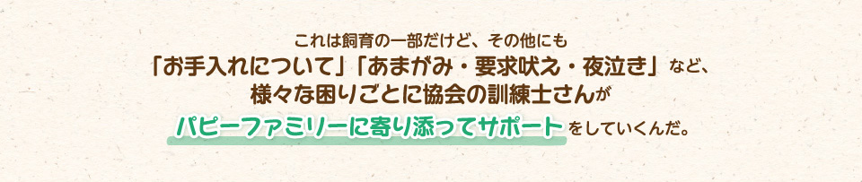 これは飼育の一部だけど、その他にも「お手入れについて」「あまがみ・要求吠え・夜泣き」など、様々な困りことに協会の訓練士さんがパピーファミリーに寄り添ってサポートをしていくんだ。