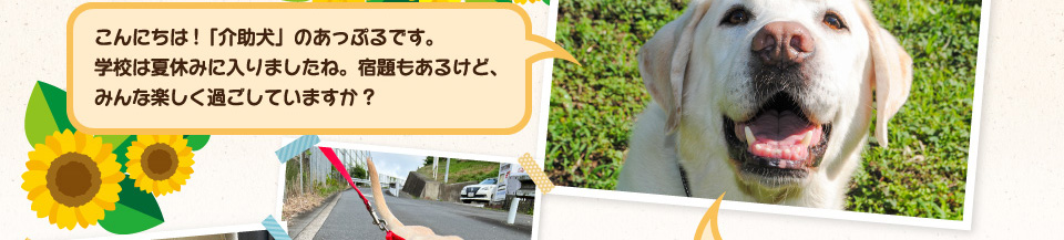 こんにちは!「介助犬」のあっぷるです。学校は夏休みに入りましたね。宿題もあるけれど、みんな楽しく過ごしていますか?