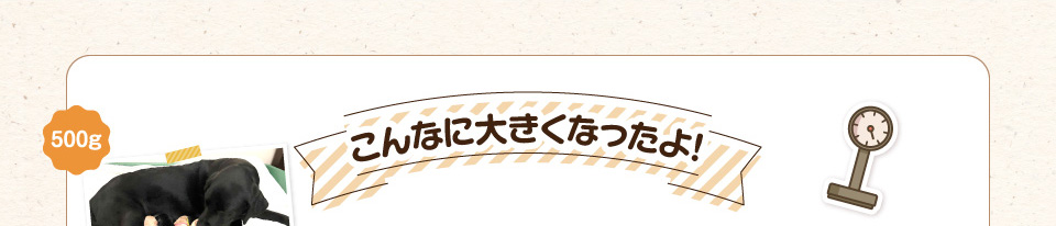 こんなに大きくなったよ!
