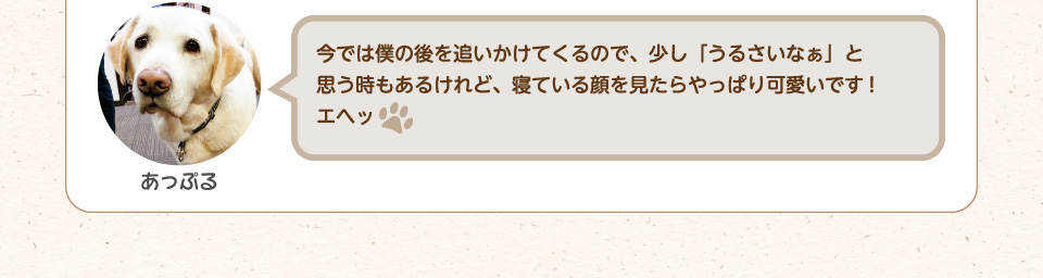 今では僕の後を追いかけてきますので、少し「うるさいなぁ」と思う時もあるけれど、寝ている顔を見たらやっぱり可愛いです!エヘッ