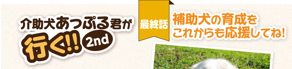 【介助犬あっぷる君が行く！2nd】最終話 補助犬の育成をこれからも応援してね