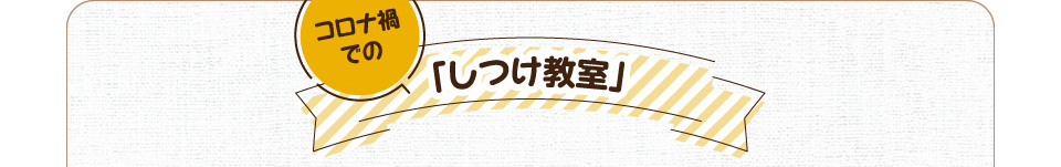 コロナ禍での「しつけ教室」