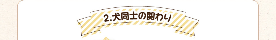 2.犬同士の関わり