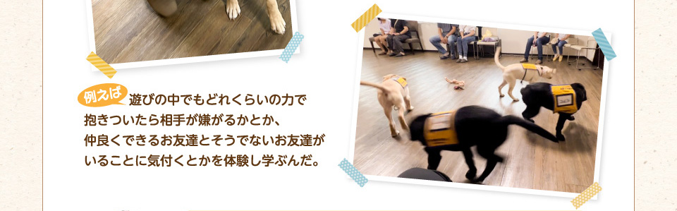 例えば、遊びの中でもどれくらいの力で抱きついたら相手が嫌がるかとか、仲良くできるお友達とそうでないお友達がいることに気付くとかを体験し学ぶんだ。