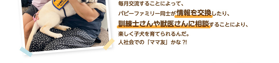 毎月交流することによって、パピーファミリー同士が情報を交換したり、訓練士さんや獣医さんに相談することにより、楽しく子犬を育てられるんだ。人社会での「ママ友」かな?!