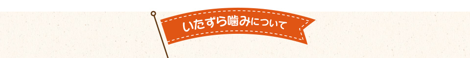 いたずら噛みについて